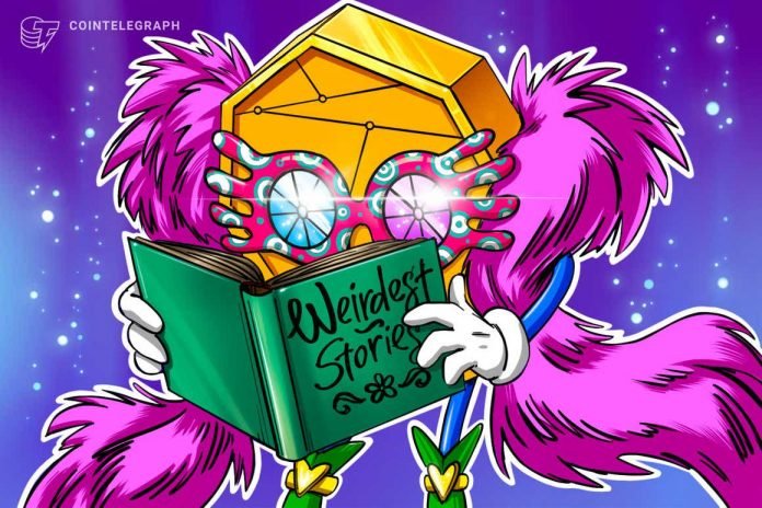 Le 5 storie crypto più strane del 2021