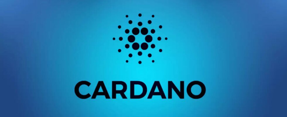 Cardano, 400 nuovi progetti e 100.000 nuovi wallet nell’ultimo mese